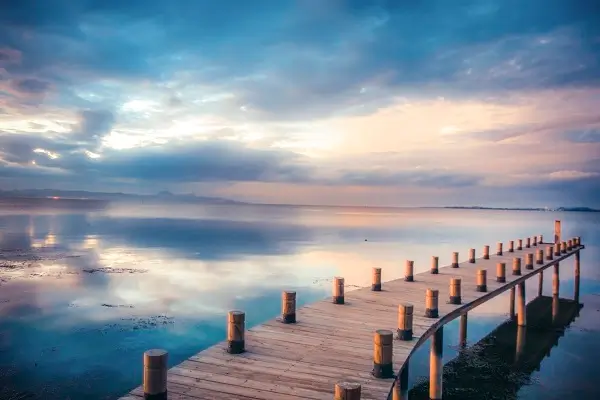 美食巧克力蛋糕做法大全