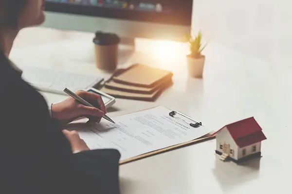 每日食谱美食做法